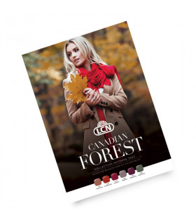 Poster Canadian Forest
