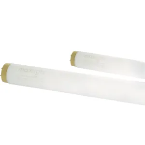 Lampe Maxlight 100w ce Iii - Beauty Tech®