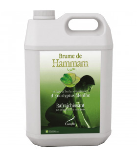 Brume de Hammam Eucalyptus/Menthe 5L