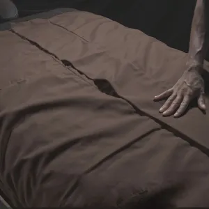 Thermosoft-V