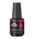 Vernis Recolution Advanced - Hiver 2024 • Lcn - Beauty Tech