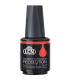 Vernis Recolution Advanced - Hiver 2024 • Lcn - Beauty Tech