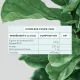Complexe Coupe-Faim • D-Lab - Qualité Pro - Beauty Tech