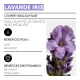 Baume de Nuit - Lavande Fine • Decléor - Beauty Tech
