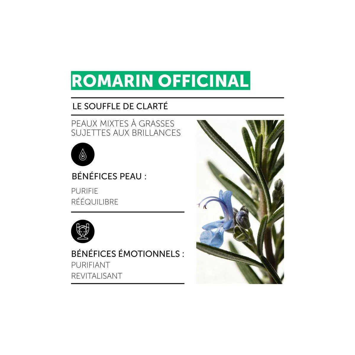 Soin Fluide Argile Blanche - Romarin Officinal • Decléor - Beauty Tech