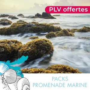 Pack corps découverte Promenade Marine • Spa du Monde - Beauty Tech®