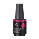 Set Recolution - Golden Lotus  • LCN - Beauty Tech®