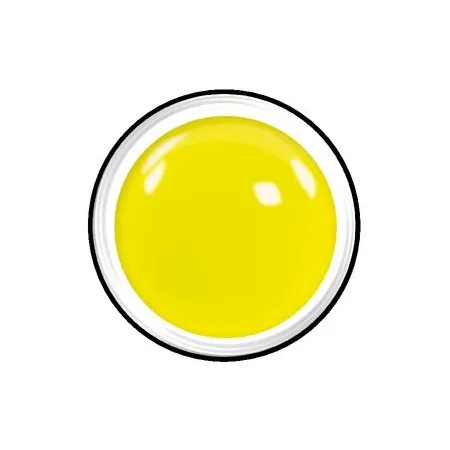 COLOR GEL NEON - LCN