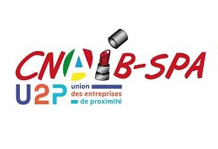Logo de la CNAIB
